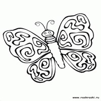 Раскраски с насекомыми - веселая бабочка