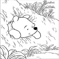 Раскраски с героями из мультфильма Винни-Пух (Winnie-the-Pooh) - попытка вылезти
