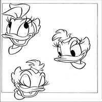 Раскраски с героями из мультфильма Дональд Дак (Donald Fauntleroy Duck) - уточка красотка