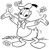 Раскраски с героями из мультфильма Дональд Дак (Donald Fauntleroy Duck) - цветы