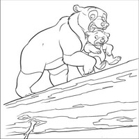 Раскраски с героями из мультфильма Братец медвежонок (Brother Bear) - за шкирку