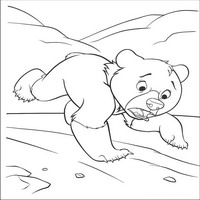 Раскраски с героями из мультфильма Братец медвежонок (Brother Bear) - медвежонок