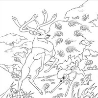 Раскраски с героями из мультфильма Бемби 2 (Bambi 2) - обучение