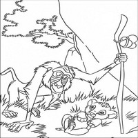 Раскраски с героями из мультфильма Король лев (The Lion King) - малыш родился