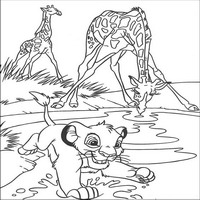 Раскраски с героями из мультфильма Король лев (The Lion King) - у водопоя
