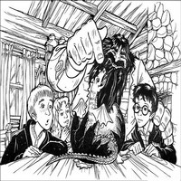 Раскраски с героями из фильмов о Гарри Поттере (Harry Potter) - дракончик