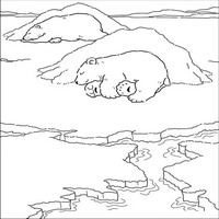 Маленький полярный медвежонок (Little Polar Bear) - сон